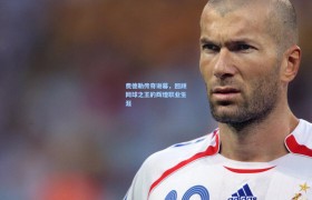 彩客网官网电脑版|费德勒传奇谢幕,回顾网球之王的辉煌职业生涯