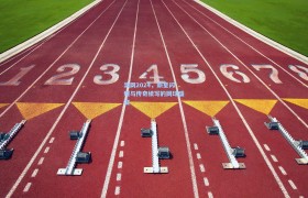 彩客网官网首页_澳网2024,新星闪耀与传奇续写的网球盛宴