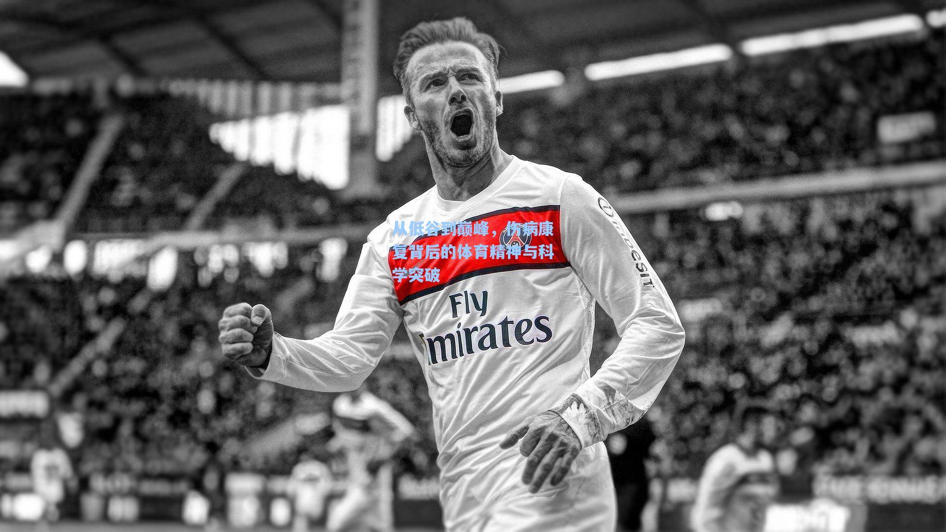 从低谷到巅峰,伤病康复背后的体育精神与科学突破