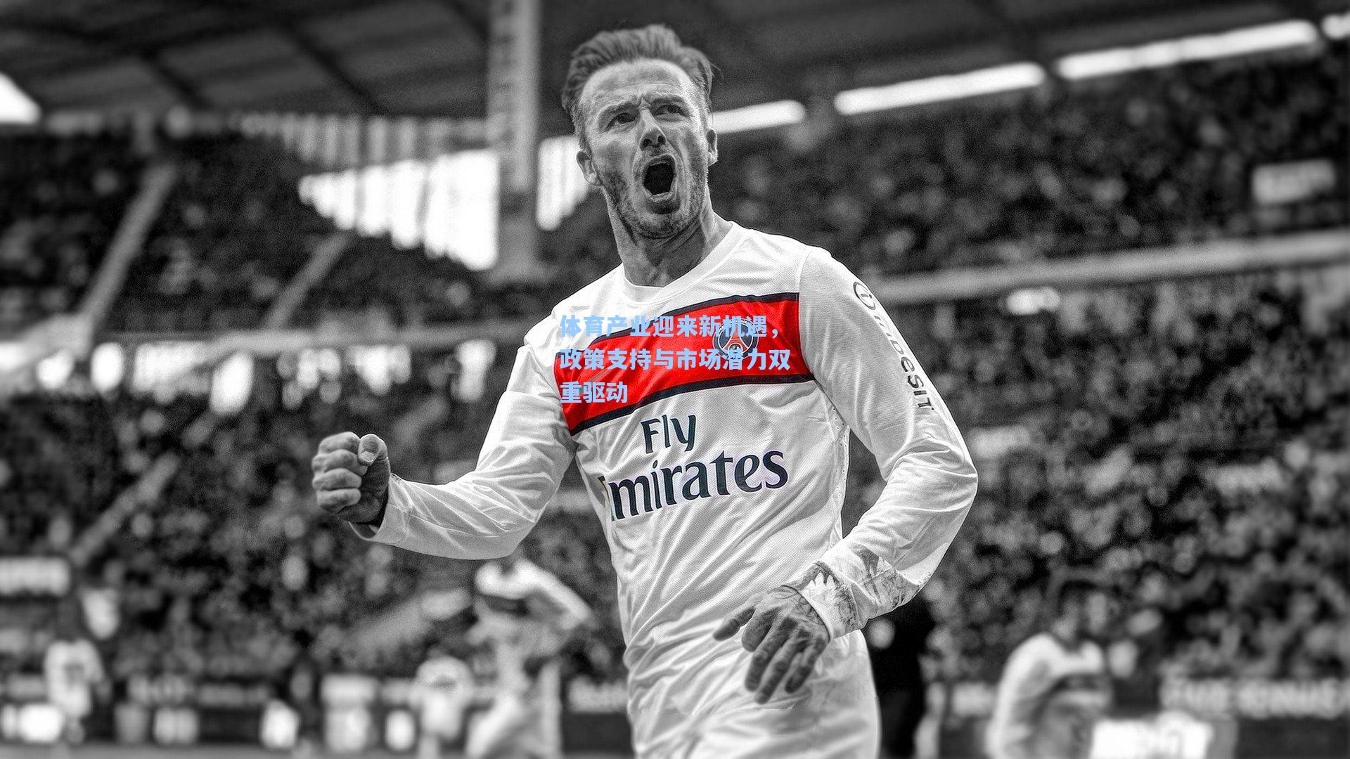 体育产业迎来新机遇,政策支持与市场潜力双重驱动