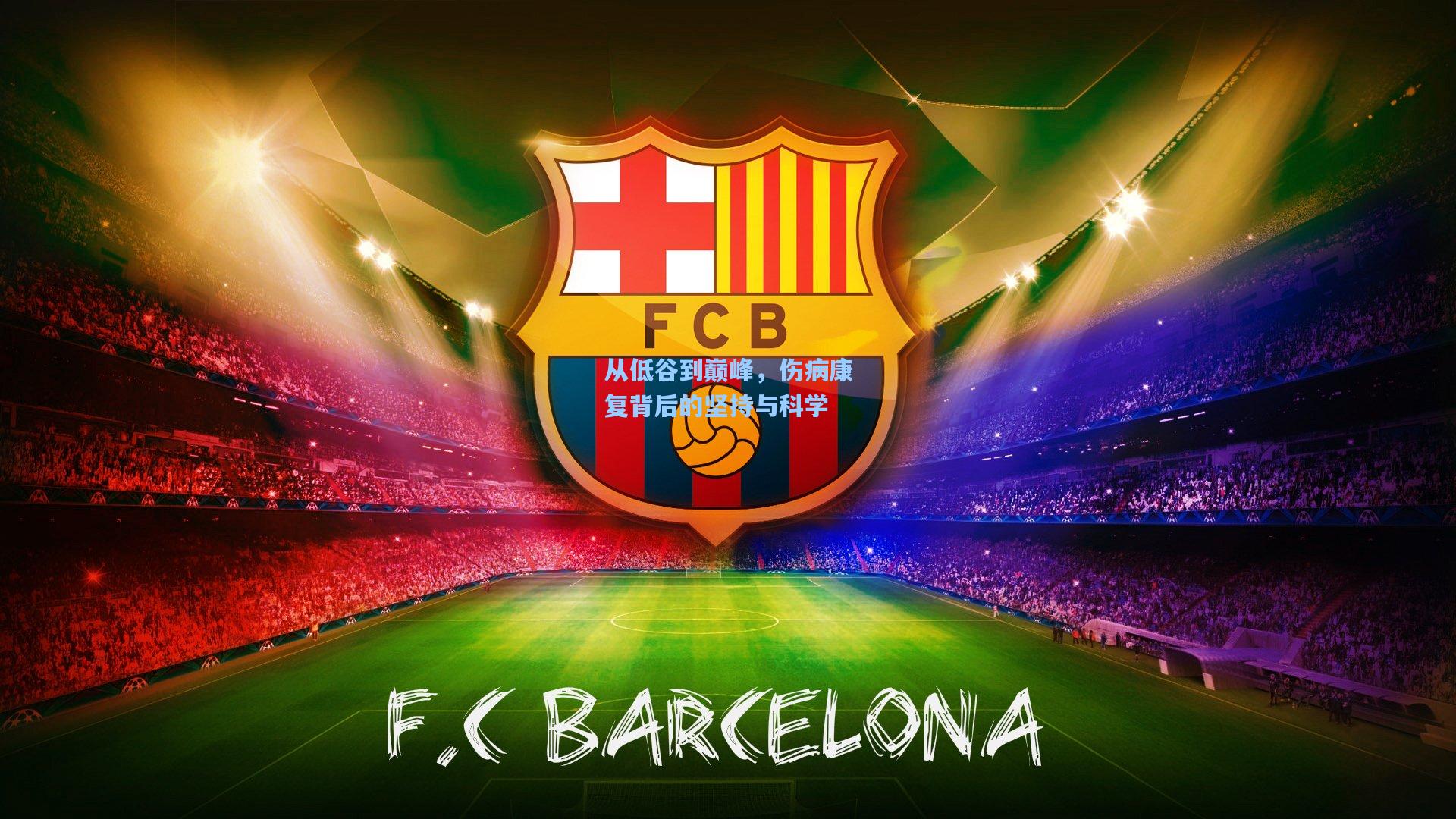 从低谷到巅峰,伤病康复背后的坚持与科学