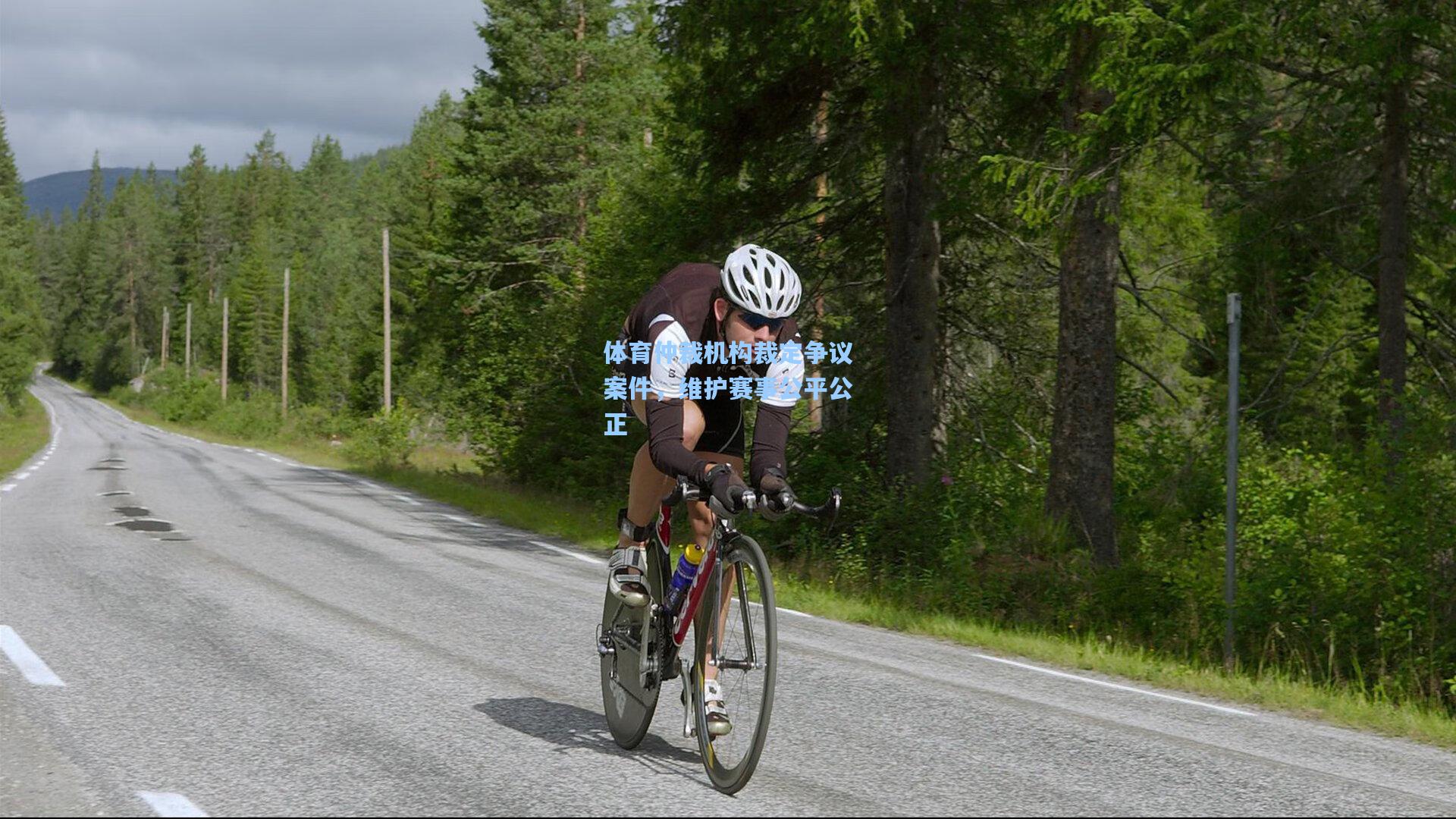 体育仲裁机构裁定争议案件,维护赛事公平公正