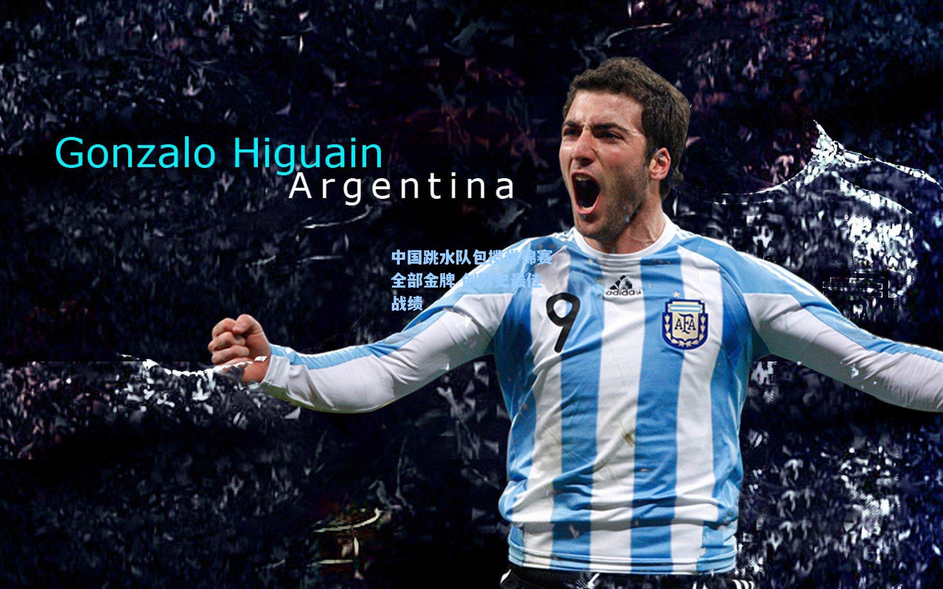 中国跳水队包揽世锦赛全部金牌 创历史最佳战绩