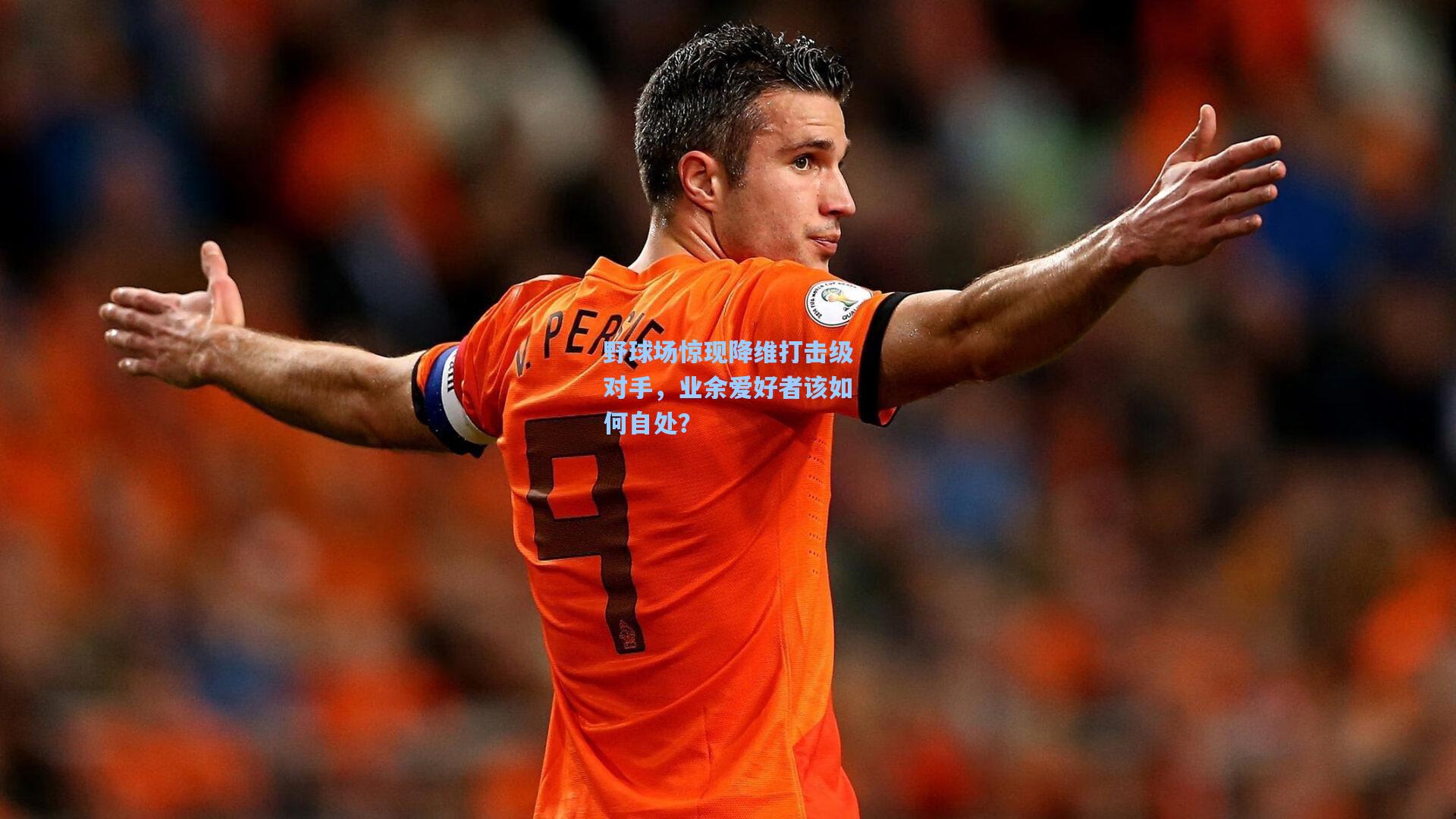 野球场惊现降维打击级对手，业余爱好者该如何自处？